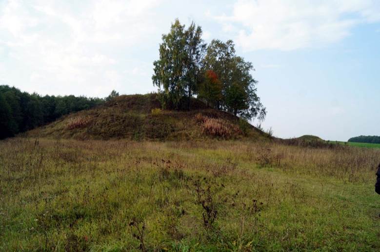 Рис 11. Берёза на Шум-горе. фото отсюда - https://news.novgorod.ru/articles/read/529.html